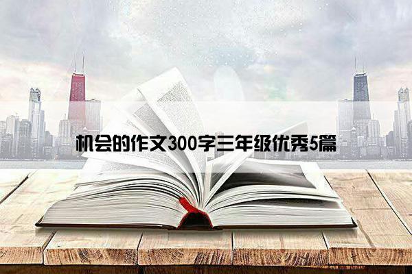 机会的作文300字三年级优秀5篇