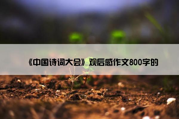 《中国诗词大会》观后感作文800字的