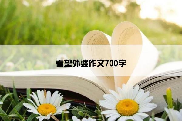 看望外婆作文700字 看望外婆作文700字