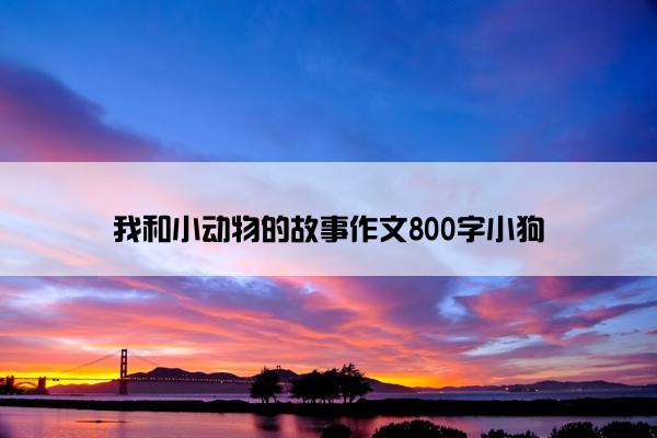 我和小动物的故事作文800字小狗 我和小动物的故事作文800字小狗