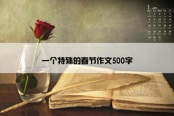 一个特殊的春节作文500字