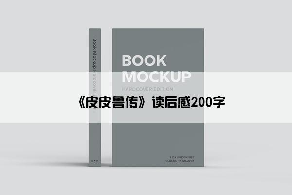 《皮皮鲁传》读后感200字 《皮皮鲁传》读后感200字