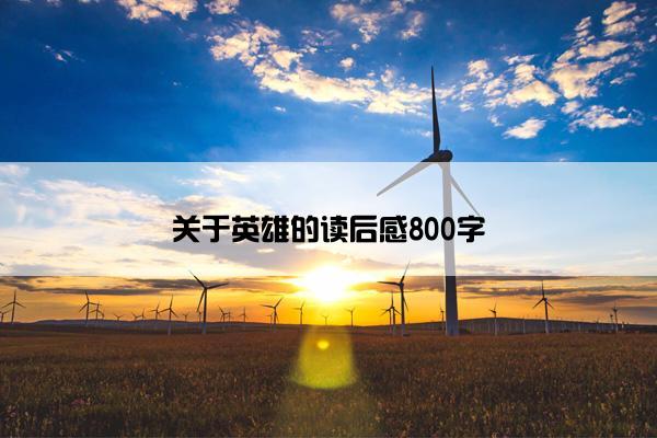 关于英雄的读后感800字 关于英雄的读后感800字