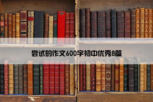 尝试的作文600字初中优秀8篇