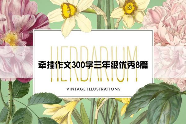 牵挂作文300字三年级优秀8篇 牵挂作文300字三年级优秀8篇