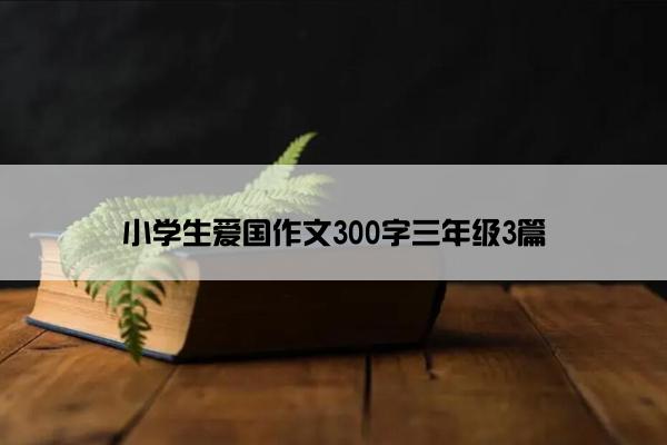 小学生爱国作文300字三年级3篇