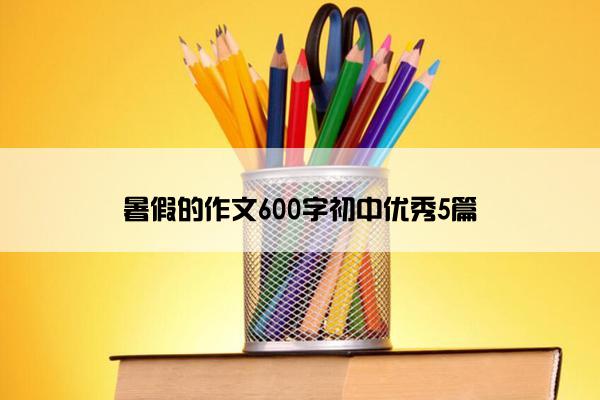 暑假的作文600字初中优秀5篇