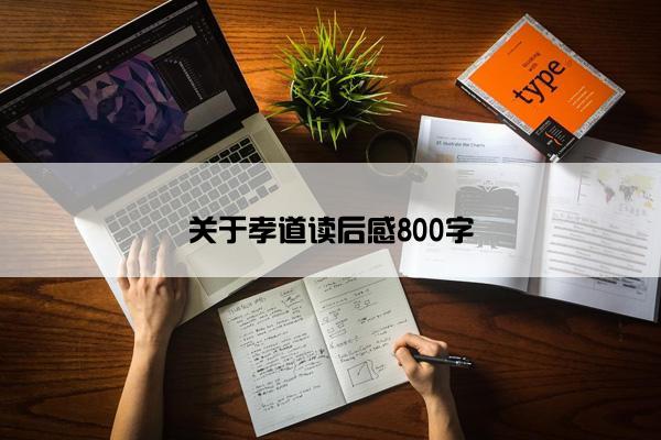 关于孝道读后感800字