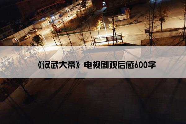 《汉武大帝》电视剧观后感600字