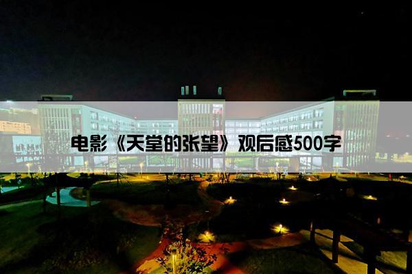 电影《天堂的张望》观后感500字