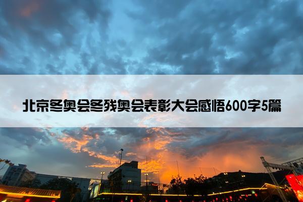 北京冬奥会冬残奥会表彰大会感悟600字5篇