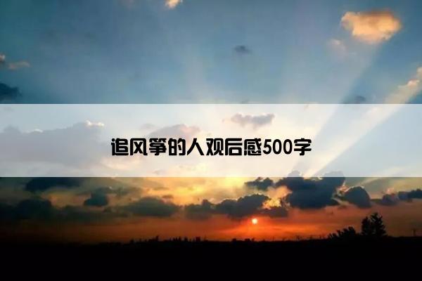 追风筝的人观后感500字