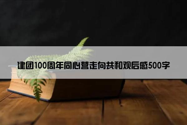 建团100周年同心营走向共和观后感500字