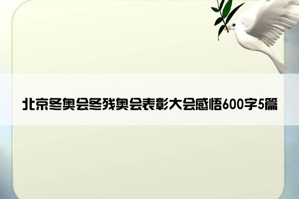 北京冬奥会冬残奥会表彰大会感悟600字5篇